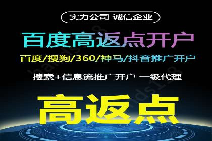 百度竞价排名策略解析：一家公司的广告投放策略全揭秘